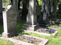 02-07 Nemessányi Sámuel Félix